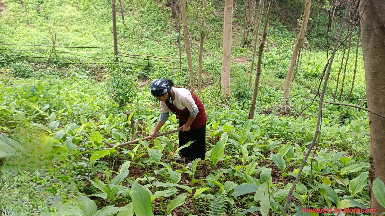Farmer in field