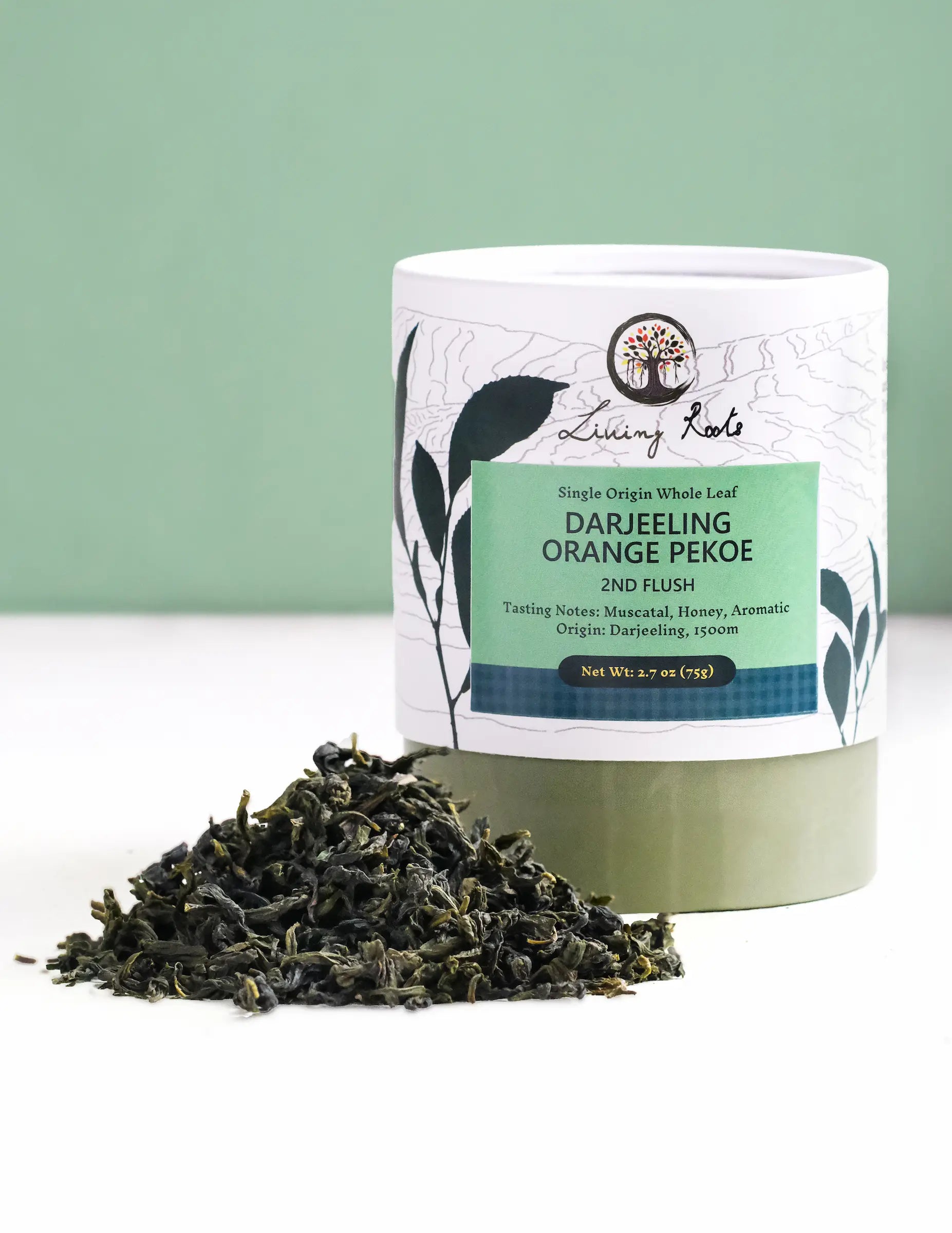Darjeelingページ Darjeeling Second Flush 2026 | Single Estate Orange Pekoe