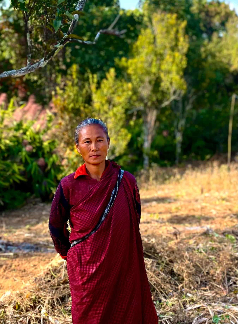 Living Roots - Premium teas and spices from family farms