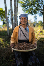 Laskein Wild Cinnamon