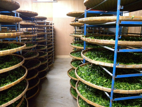 How Much Does Loose Leaf Tea Cost? $0.08–$0.50 Per Cup (Full Breakdown)