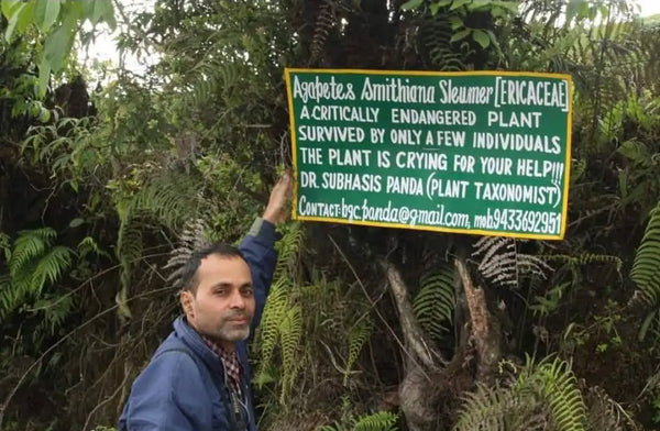 Why a Conservation Botanist Is Partnering with a Spice Company