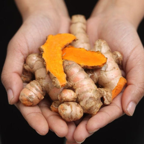 Lakadong Turmeric: 7-9% Curcumin (World's Highest)