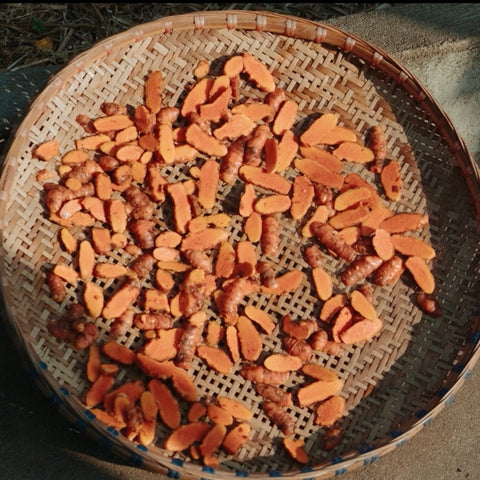 The Science Behind Curcumin Absorption: A Physician's Perspective