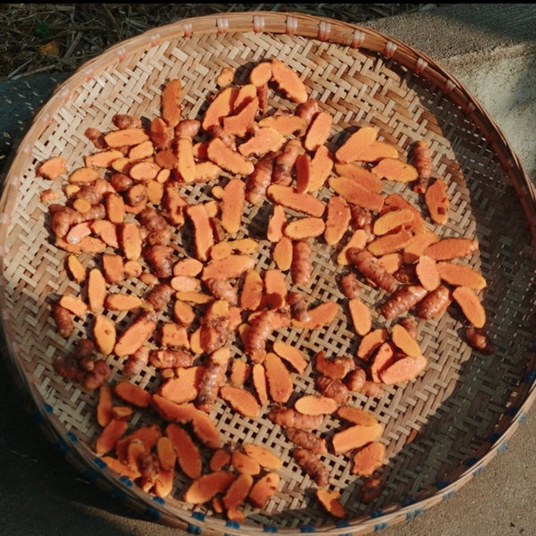 The Science Behind Curcumin Absorption: A Physician's Perspective