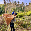 Person carrying a large woven basket in a tea plantation with another person in the background.