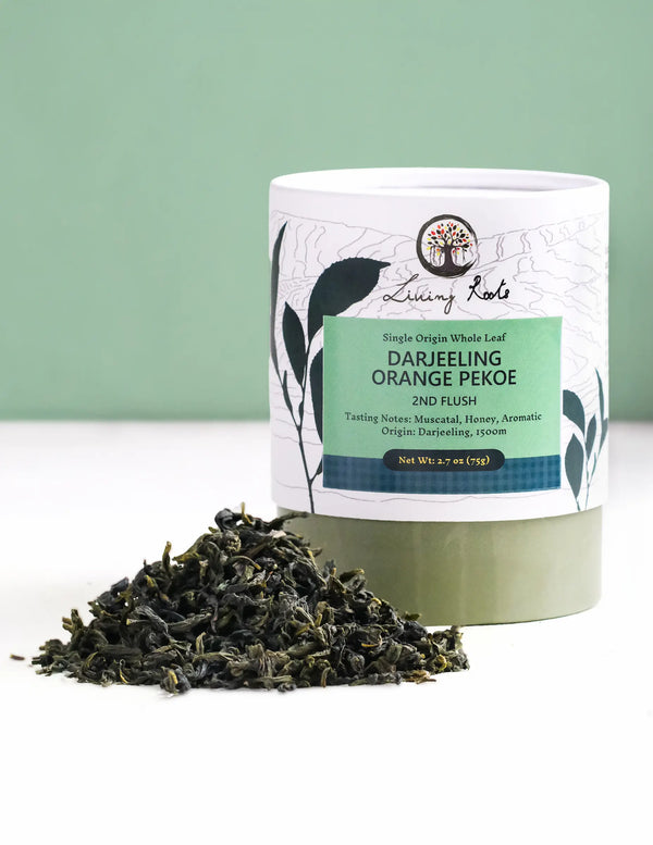 Tea canister with Darjeeling Orange Pekoe tea leaves on a white surface with a green background