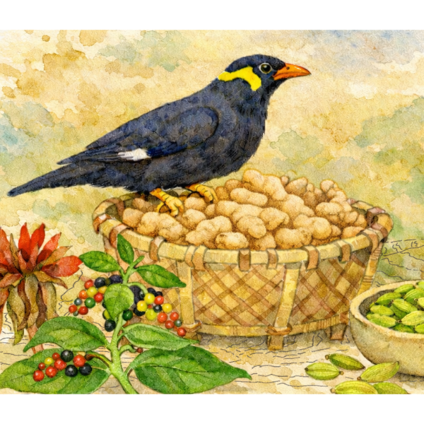 Handwritten Gift Card - Mynah