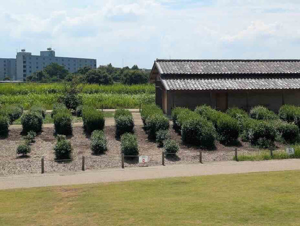 Our matcha comes from a 16th-generation tea house — one family's dedication s...