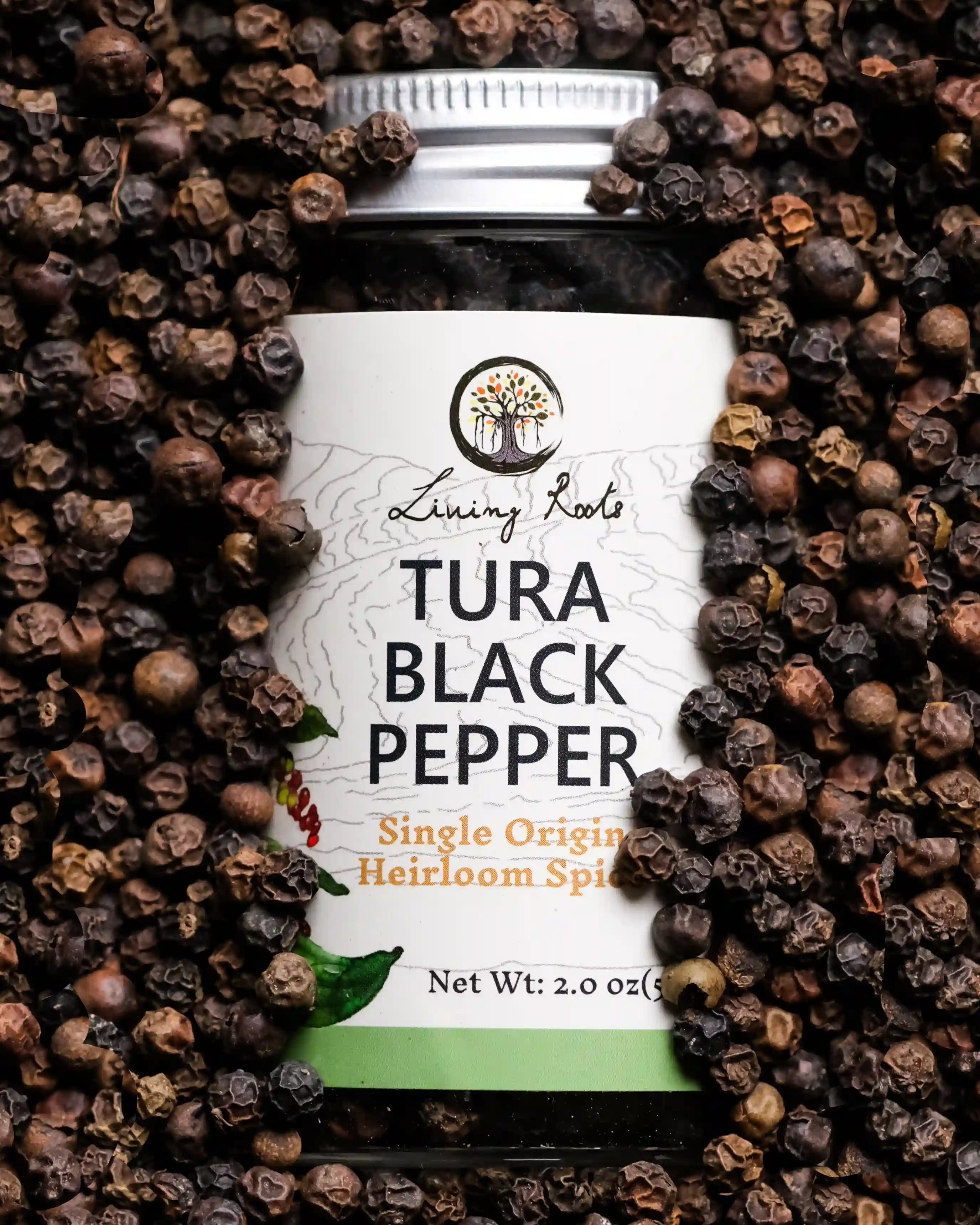 Black Pepper | Single-Origin Garo Hills Meghalaya – Living Roots