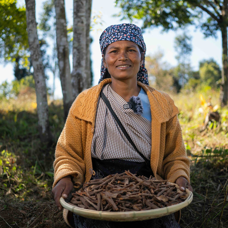 Living Roots USA | Fresh, Pure, Artisanal Spices & Teas