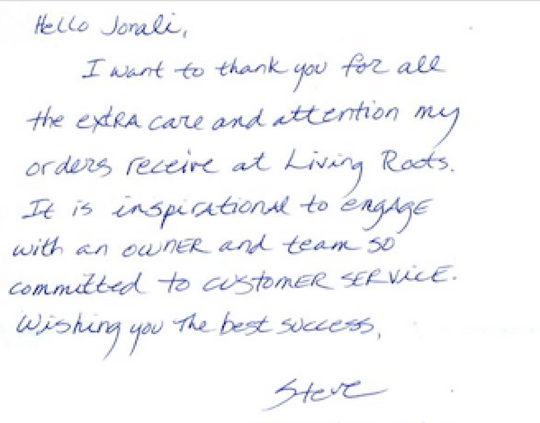 Handwritten review from Steve L.