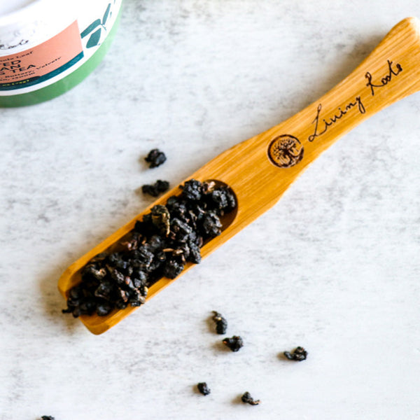 Earth Harmony Bamboo Scoop